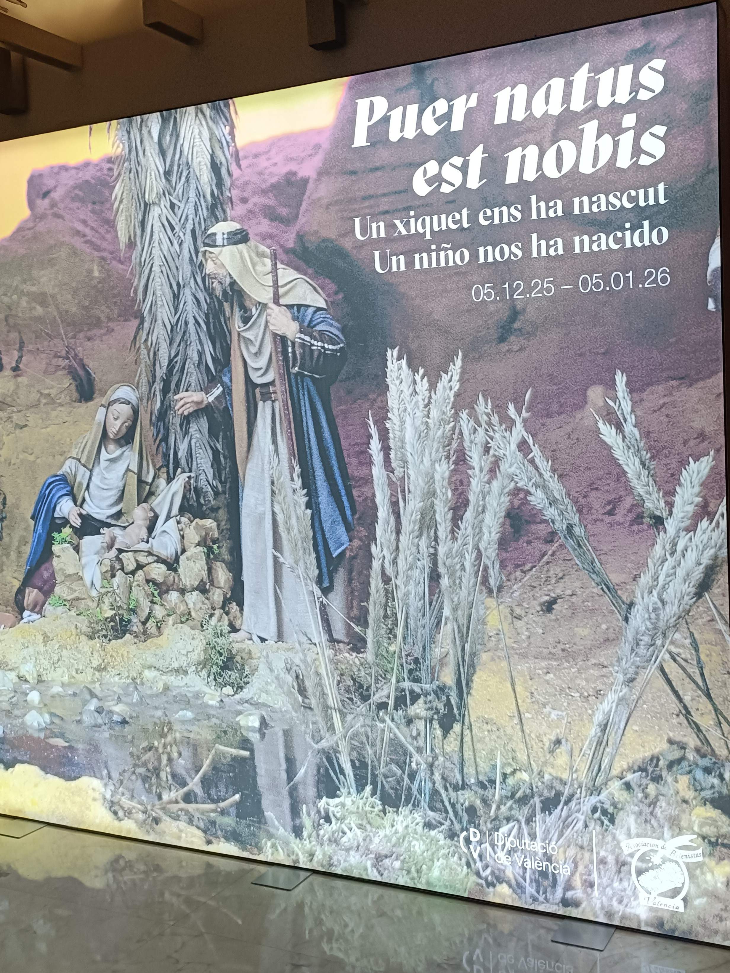 Puer natues est nobis