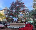 images/Blog/Decemberi_programok/2025_Arbol_navidad_Reina.jpg