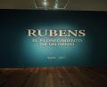 images/Blog/Rubens_és_Palomino/Rubens_kiállitás_képe.jpg
