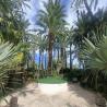 images/Spanyolorszagrol/Elche/Huerto_de_la_Cura.jpg