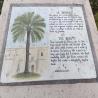images/Spanyolorszagrol/Elche/La_Bonica_palmra.jpg