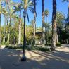images/Spanyolorszagrol/Elche/Parque_Palmeral_municipal.jpg