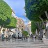 images/Spanyolorszagrol/Elche/tér_2_Elche.jpg