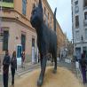 images/Blog/Fallas_Valenciaban/Fallas_2023_10.jpg