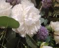 images/Blog/Girona/temps_de_flor_1.jpg