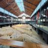 images/Blog/Top_15_Barcelona/7_mercado_de_born.jpg