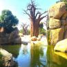 images/Blog/Valencia_Top_155/Bioparc.jpg