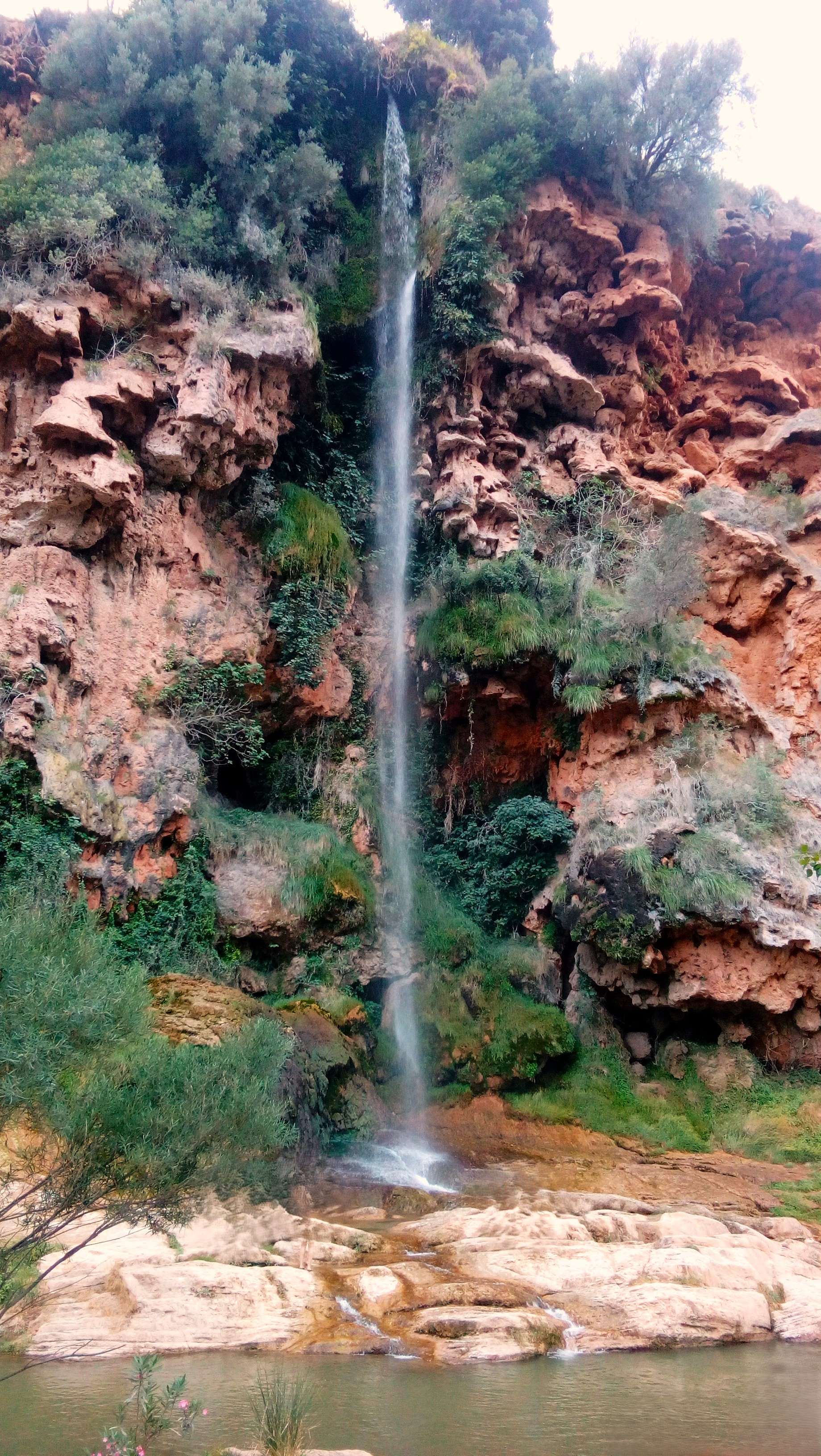 Salto de la novia
