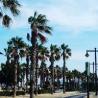 images/Hasznos/Valencia_Strandjai/1572428944811.jpeg