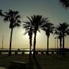 images/Hasznos/Valencia_Strandjai/IMG20231125085043.jpeg