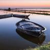 images/Spanyolorszagrol/Albufera/Albufera_Barco__Oti_foto.jpeg