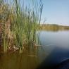 images/Spanyolorszagrol/Albufera/IMG-20190804-WA0032.jpeg